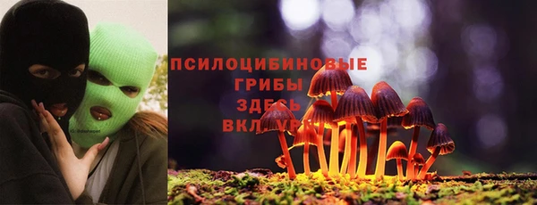 винт Магас