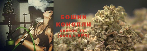 МДПВ Лиски