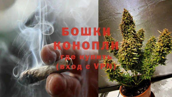 винт Магас