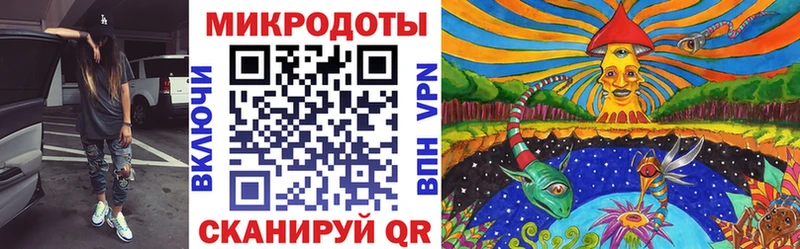 Купить закладки  Советская Гавань  Псилоцибиновые грибы мицелий 